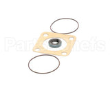 807-1197-3 Frymaster Viking Pump Seal Kit
