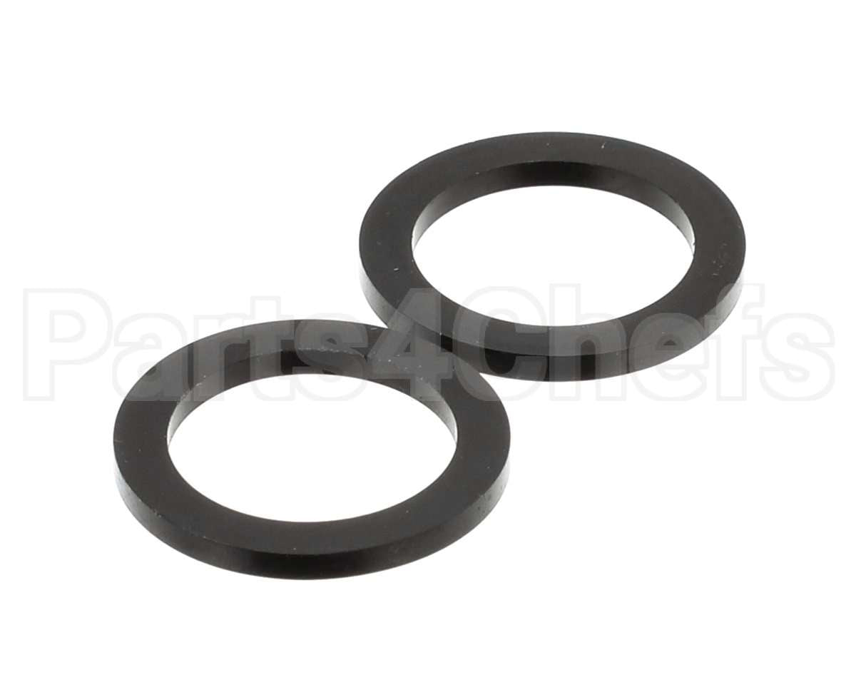807000099 Rinnai Gasket, Qp (2/Pk)