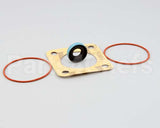 80711973 Frymaster Viking Pump Seal Kit