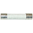 8072819 Compatible Frymaster Ceramic Fuse