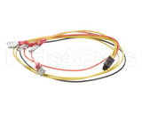 8074665 Frymaster Harness,45 Smt Intrfc To 12/24Vac