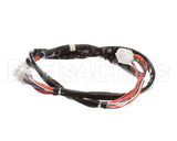 8074773 Frymaster Harness, Controls Lov Dv
