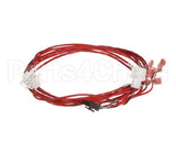 8074780 Frymaster Harness,Gl Mib Pwr/Led/Pan/Rti