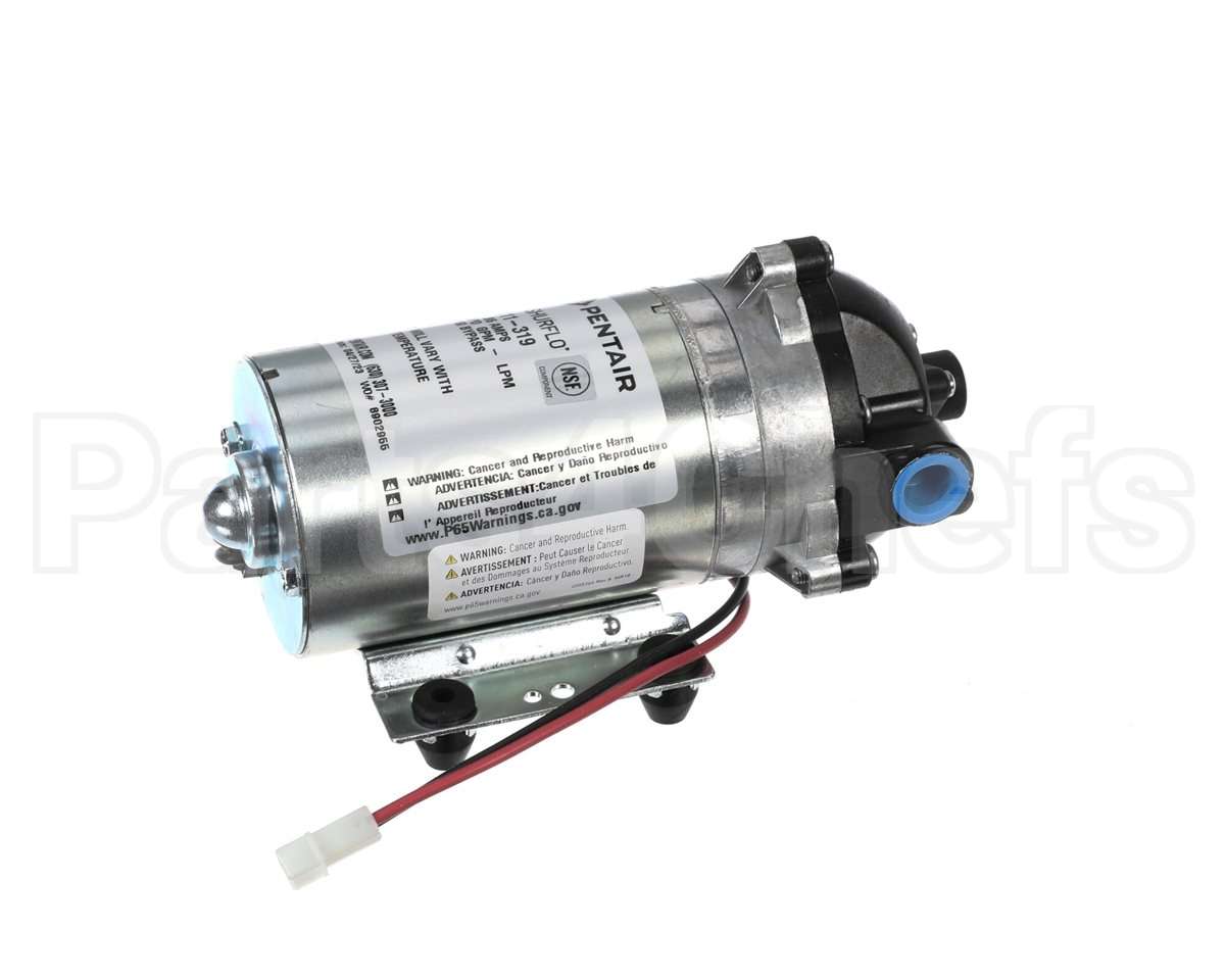 8075-111-319 Everpure Pump 24Vac R.o. General