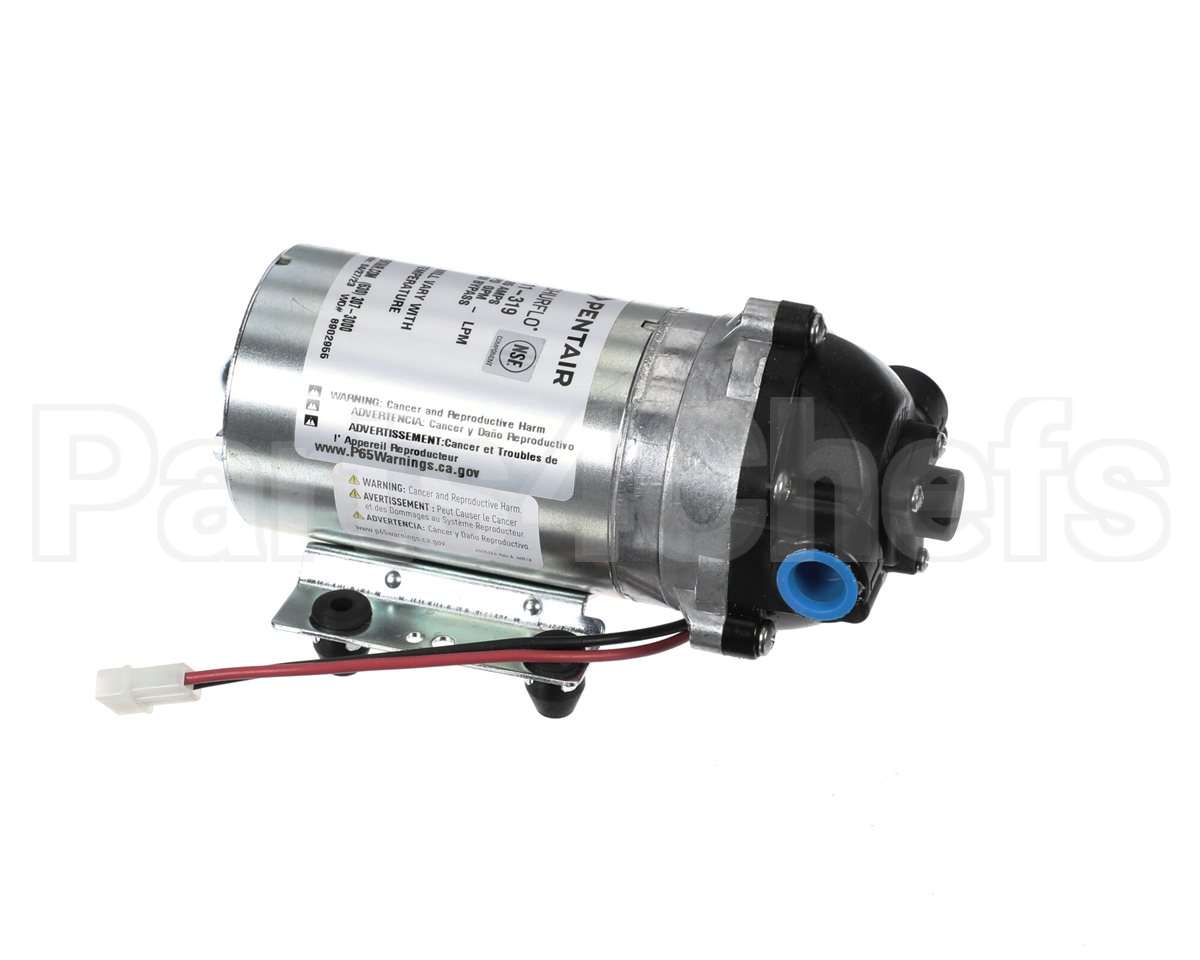 8075-111-319 Everpure Pump 24Vac R.o. General