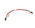 8075659 Frymaster Harness, Ato Rtd Extension 10