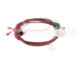 8075812 Frymaster Harness, Dispose/Pan Sw/Rti
