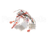 8076364 Frymaster Harness, Lov-T Fv Control Box