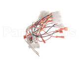 8076364 Frymaster Harness, Lov-T Fv Control Box