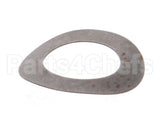 810 Globe Motor Gear Bowed Washer