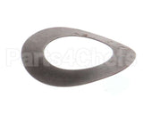 810 Globe Motor Gear Bowed Washer