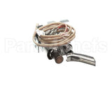 8101831 Frymaster Pilot Assembly,Mfg.036Dia Orifice