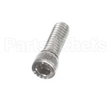 810229 Globe Shc Screw 1/4-20 X 3/4 Ss