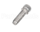 810229 Globe Shc Screw 1/4-20 X 3/4 Ss