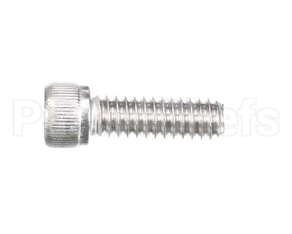 810229 Globe Shc Screw 1/4-20 X 3/4 Ss