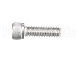 810229 Globe Shc Screw 1/4-20 X 3/4 Ss