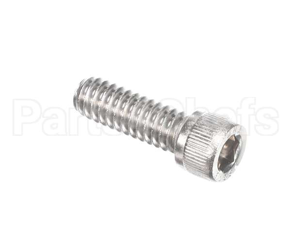 810229 Globe Shc Screw 1/4-20 X 3/4 Ss