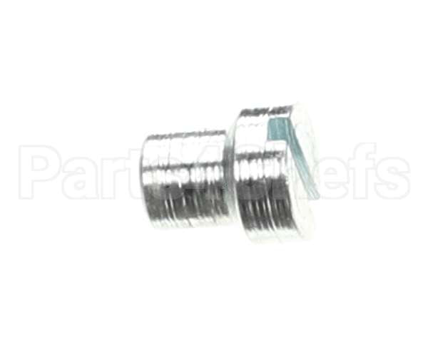 810335 Globe Gauge Plate Support Screw