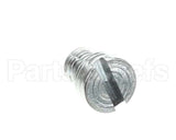 810335 Globe Gauge Plate Support Screw