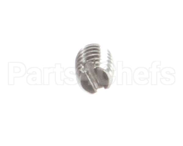 810382 Globe Set Screw, Stn. Stl. Slotted