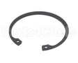 810427 Globe Retaining Ring, N5002-200