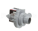 81272 Blakeslee Drain Pump
