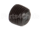 8130568 Frymaster Plug, 1/8Npt Socket-Head Pipe