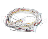 81W67 Lennox Lb-113749A Harness-Wiring J111 J113