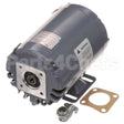 8261263 Compatible Frymaster Filter Pump Motor 115V, 1/3Hp, 1P 1725