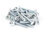 8261361 Frymaster Screw, (8090111) Qty. 25