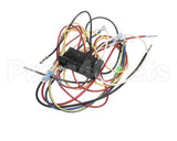 83313 Blodgett Harness, Fem Con, 3P
