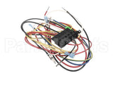 83313 Blodgett Harness, Fem Con, 3P
