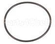 840020 Globe O-Ring