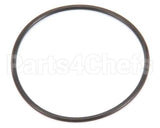 840020 Globe O-Ring