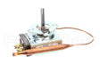 84017 Server Thermostat 79C