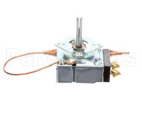 84017 Server Thermostat 79C