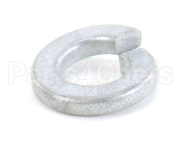 870020 Globe Lockwasher