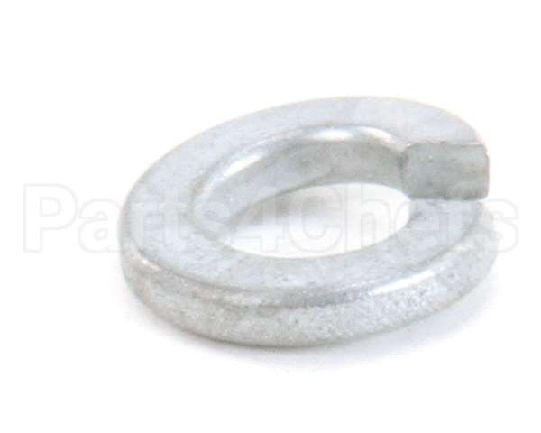 870020 Globe Lockwasher