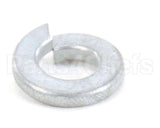 870020 Globe Lockwasher