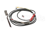 880213 Electrolux Professional 1 Single-Sensor Probe-Bl.c/Freezers Lw