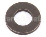 881-4 Globe Washer