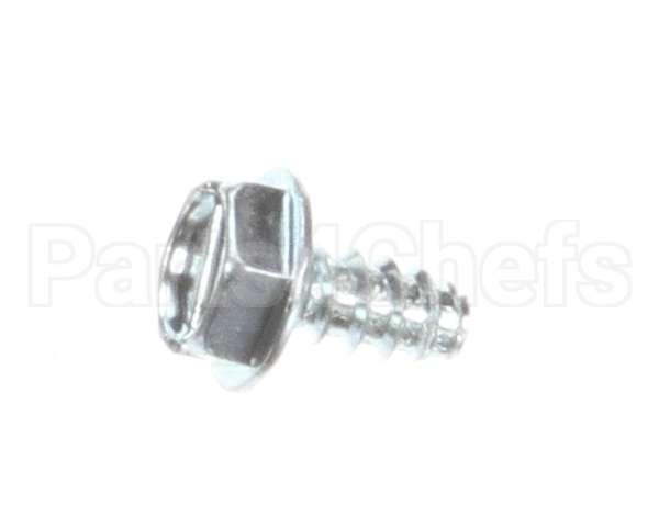 889 Globe Self Tapping Screw