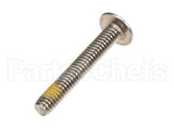 890345 Globe Sharpener Cover Screw