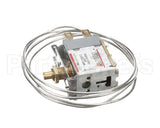 890415702 Cornelius Thermostat Focus
