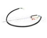 890534851 Cornelius Probe Carb Tank