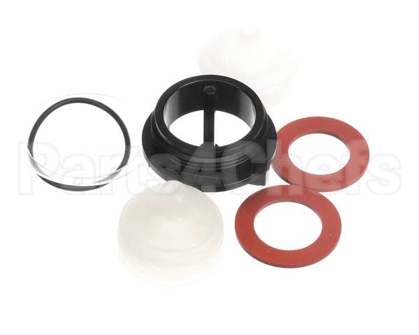 900837 Champion - Moyer Diebel Kit Repair,3/4 Vacuum Breaker