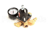 910705026 Cornelius Regulator Assembly Viper