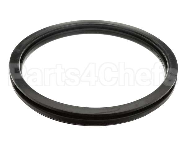 9206-419-001 Dexter Gasket Door