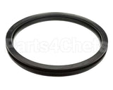 9206-419-001 Dexter Gasket Door