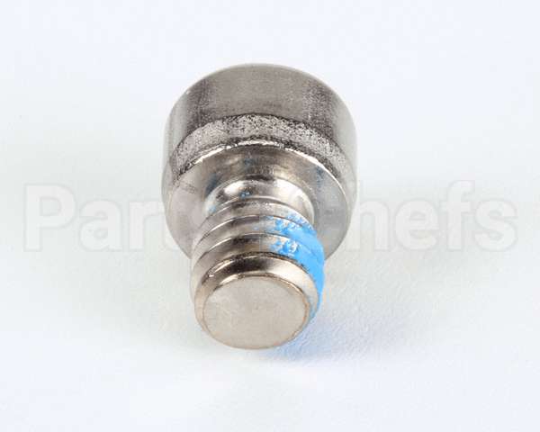 9321103 Delfield Pin,Cap Screw,Dr Hinge